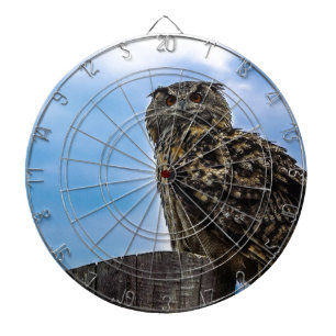 Owl Bird Feathers Animal Nature Destiny Peace Love Dartboard