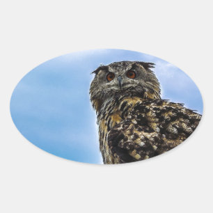 Owl Bird Feathers Animal Nature Destiny Peace Love Oval Sticker