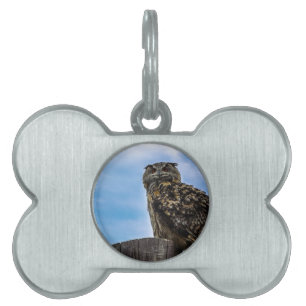 Owl Bird Feathers Animal Nature Destiny Peace Love Pet Tag