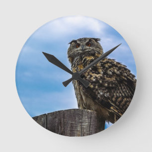 Owl Bird Feathers Animal Nature Destiny Peace Love Round Clock