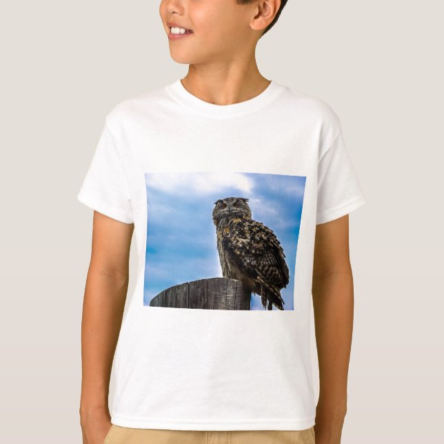Owl Bird Feathers Animal Nature Destiny Peace Love T-Shirt (Front)