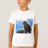 Owl Bird Feathers Animal Nature Destiny Peace Love