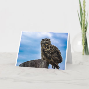 Owl Bird Feathers Animal Nature Destiny Peace Love Thank You Card