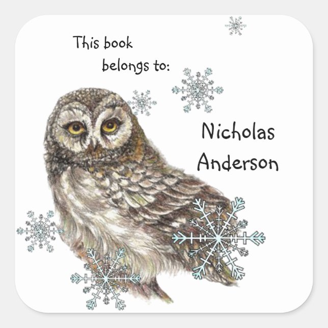 Owl Bird Snowflakes Winter Bookplate art Square Sticker (Front)