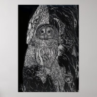 Owl Bird Tree Drawing Black White Art