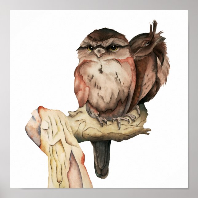 Owl Birds Watercolor Painting Poster (Front)
