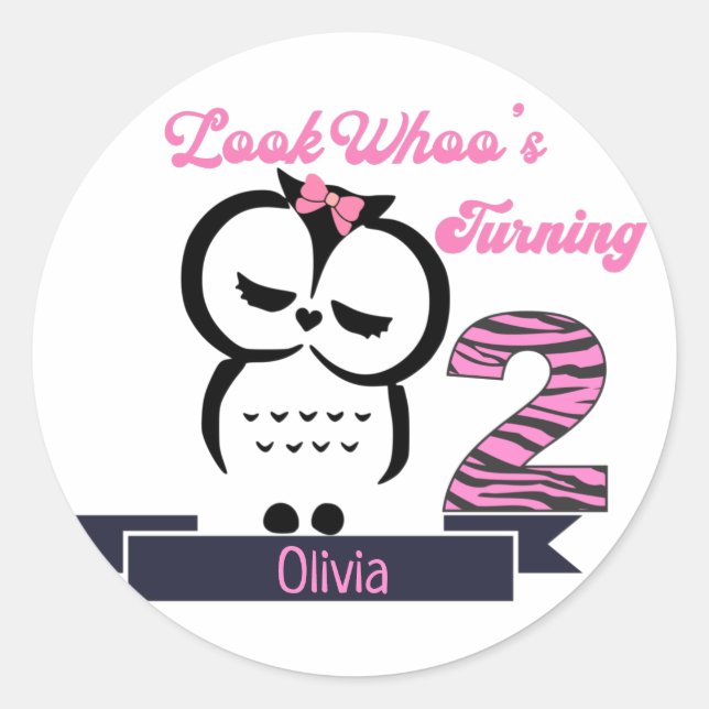 Owl Birthday Classic Round Sticker (Front)