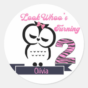 Owl Birthday Classic Round Sticker