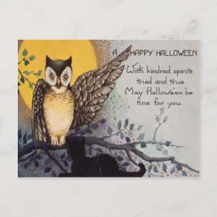 Owl Black Cat Full Moon Tree Night Postcard