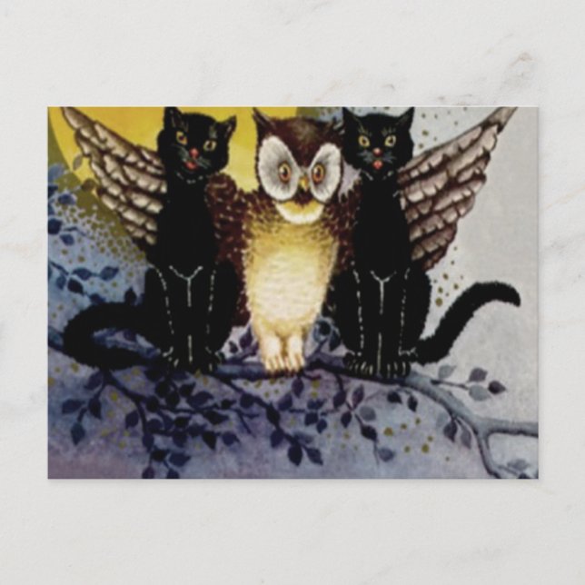 Owl Black Cat Full Moon Tree Night Postcard (Front)