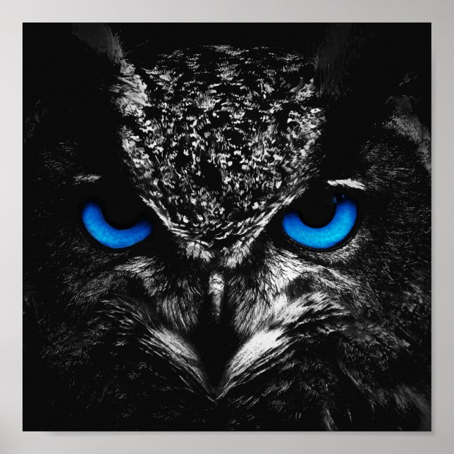 Owl blue eyes poster (Front)