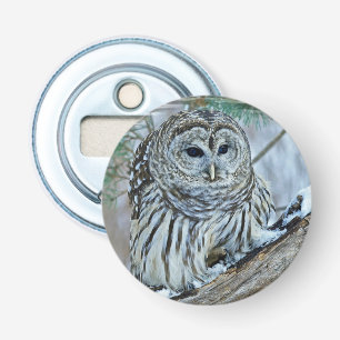 Owl Bottle Opener