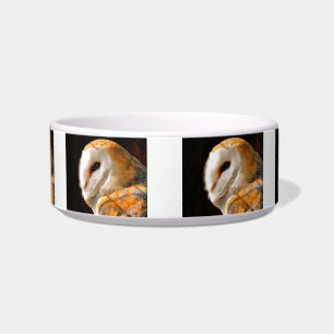 OWL BOWL