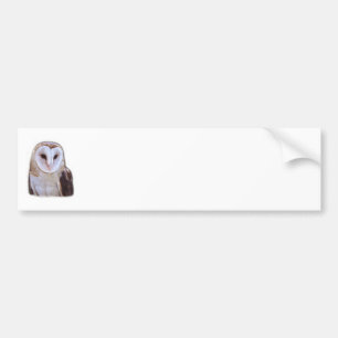 owl bumper sticker