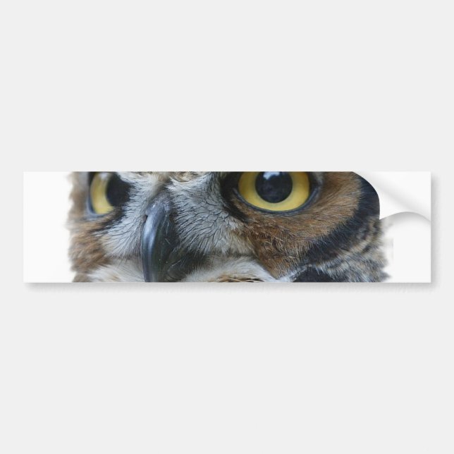 Owl Bumper Sticker (Front)