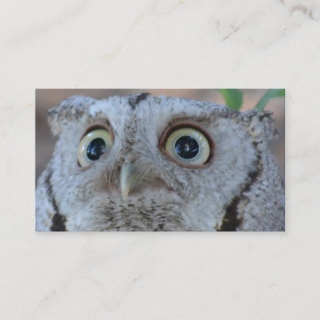 Owl business card (Front)