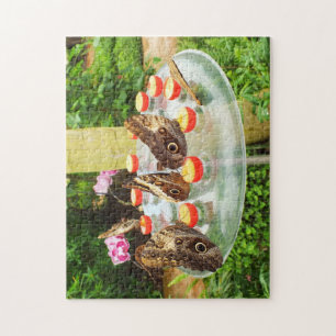 Owl butterflies jigsaw puzzle