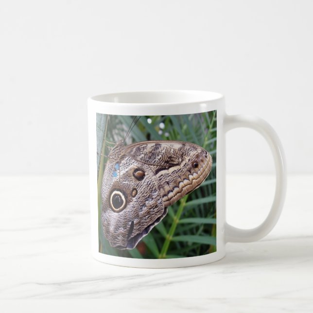 Owl Butterfly Coffee Mug (Right)