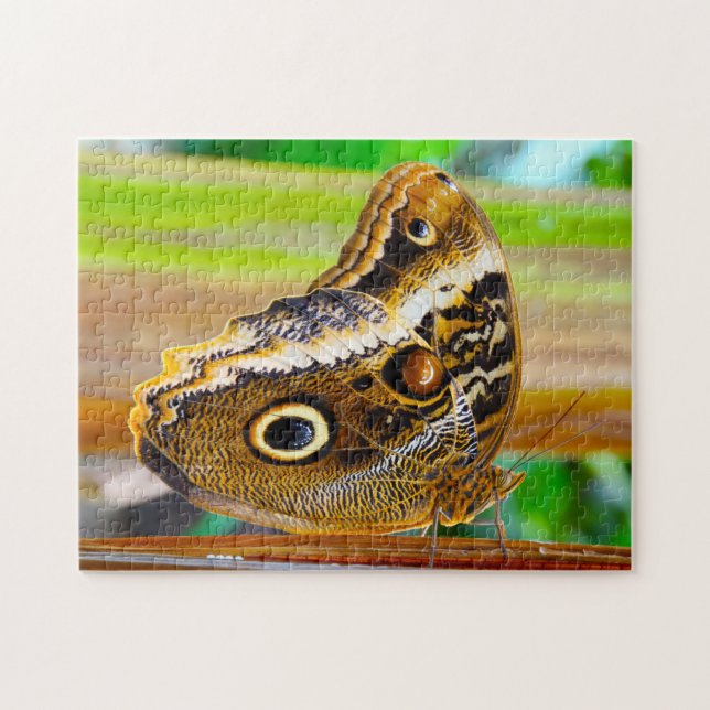 Owl Butterfly. Jigsaw Puzzle (Horizontal)