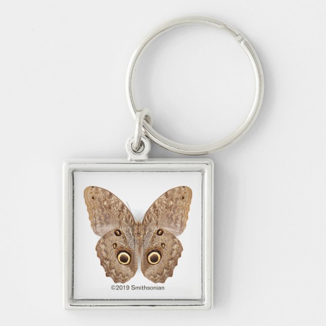 Owl Butterfly Key Ring (Front)