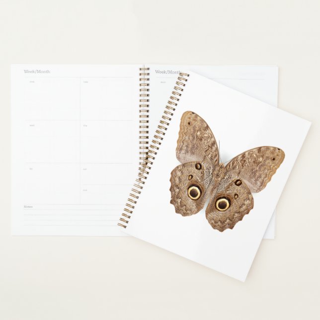 Owl Butterfly Planner (Display)