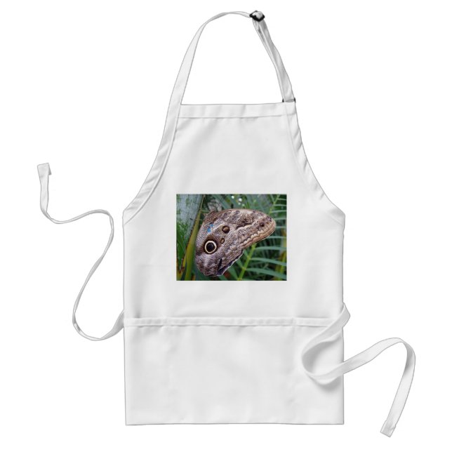 Owl Butterfly Standard Apron (Front)