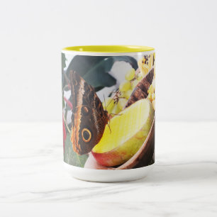 Owl butterfly Two-Tone coffee mug