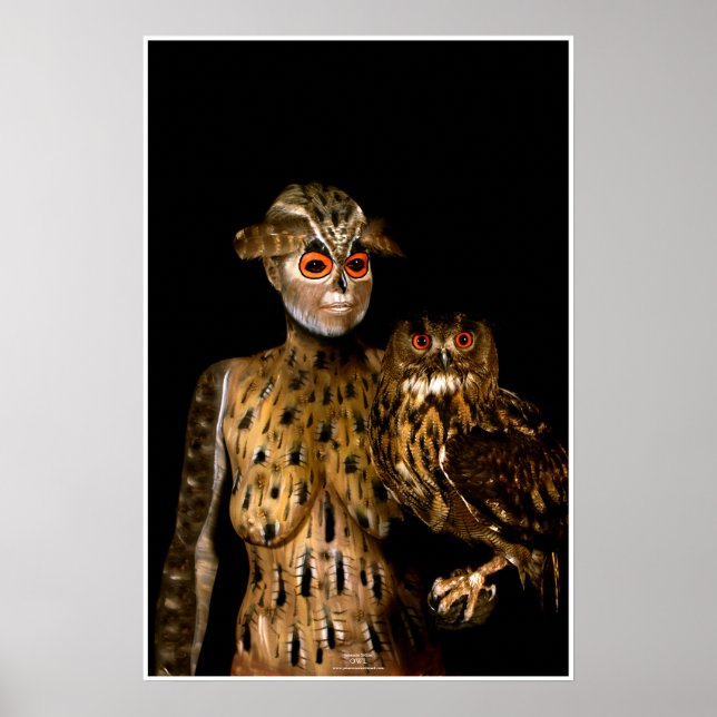 Owl by Johannes Stötter Poster (Front)