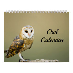 Owl Calendar