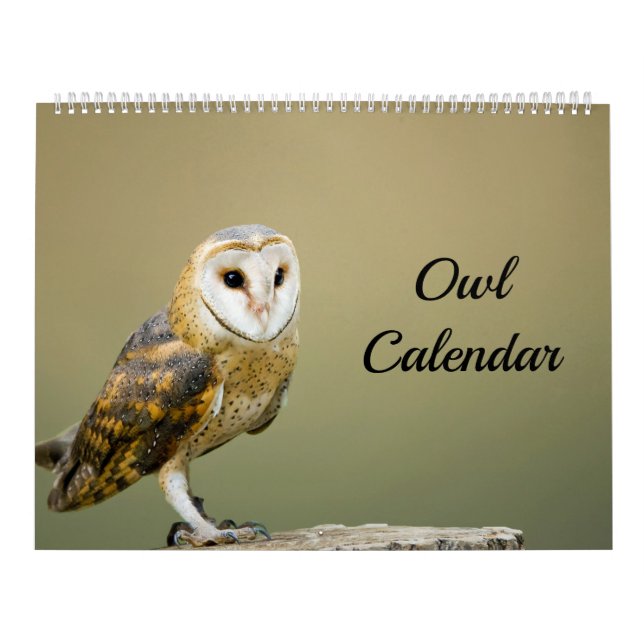 Owl Calendar (Cover)