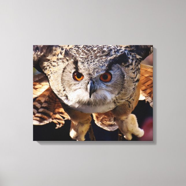 Owl Canvas Print (Front)