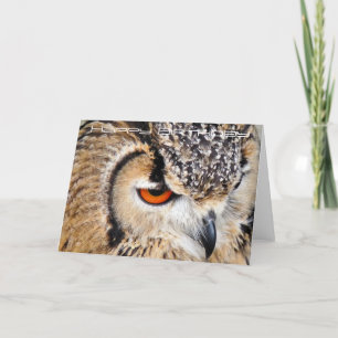 OWL CARD