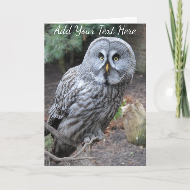 Owl Card (Front)