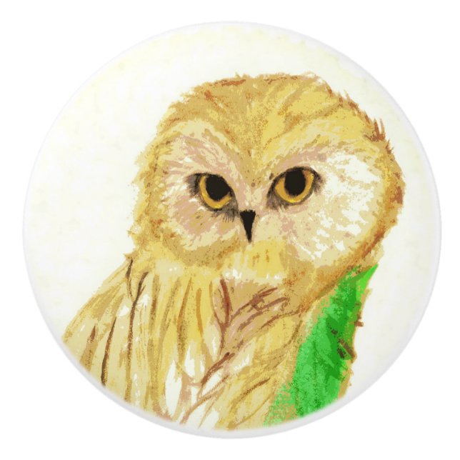 Owl Ceramic Knob (Front)