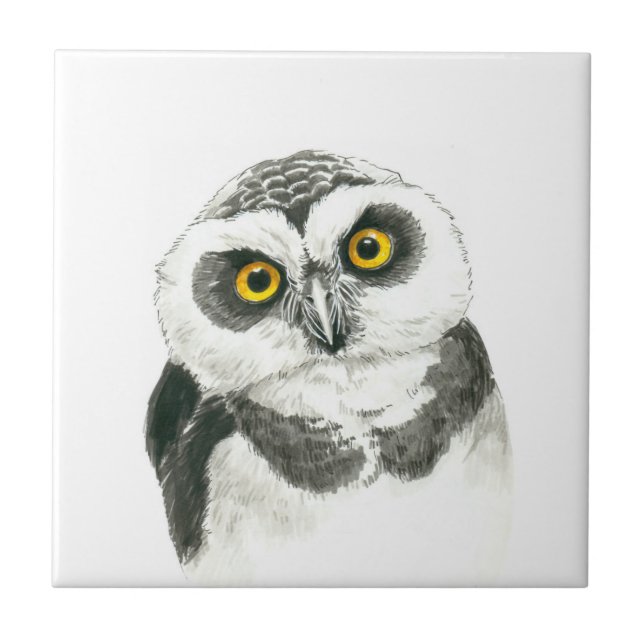 Owl Ceramic Tile (Front)