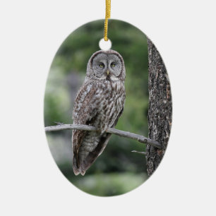 Owl Christmas Ornament - Great Grey Owl