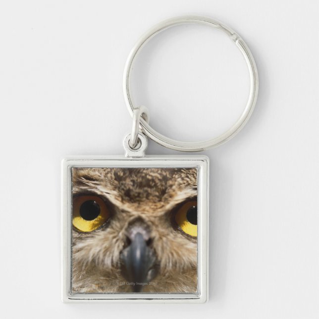 Owl Close-Up Key Ring (Front)