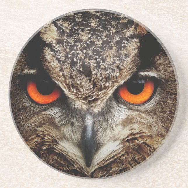 Owl Coaster (Front)