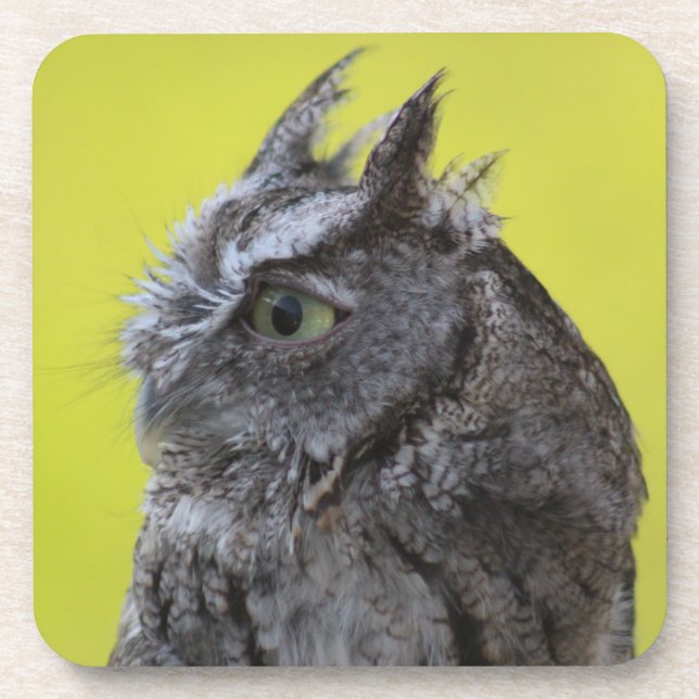 Owl coaster (Front)