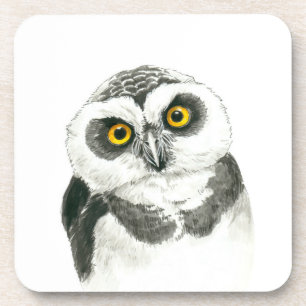 Owl Coaster