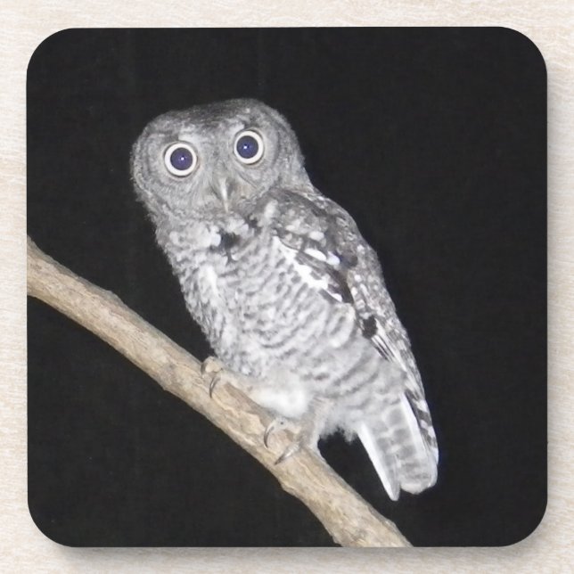 Owl Coaster (Front)