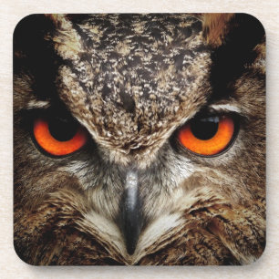 Owl Coaster