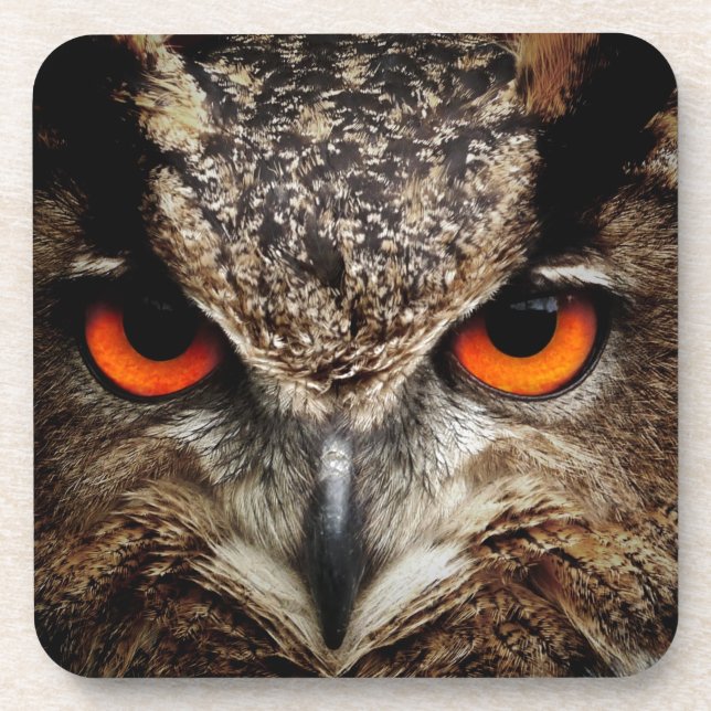 Owl Coaster (Front)