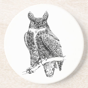Owl Coaster