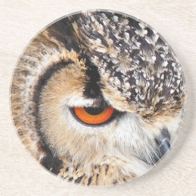 OWL COASTER (Front)