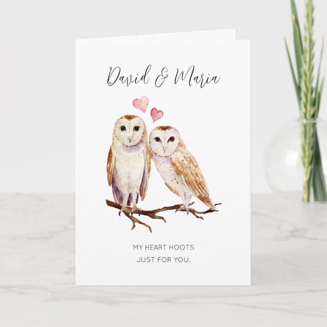 Owl Couple My Heart Hoots Anniversary Card (Front)