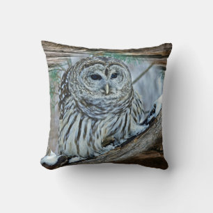 Owl Cushion