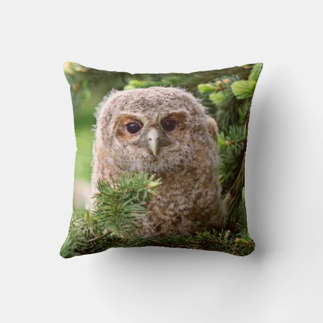 Owl Cushion (Back)