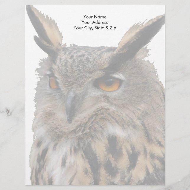 Owl Custom Letterhead (Front)