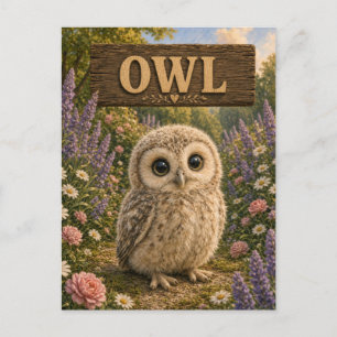 Owl Cute Baby Storybook Nursery Animal Postcard